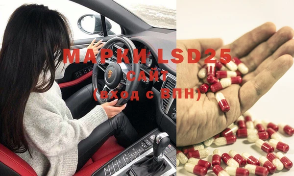 spice Белокуриха