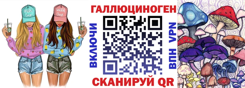 как найти   гидра рабочий сайт  Псилоцибиновые грибы MAGIC MUSHROOMS  Циолковский 